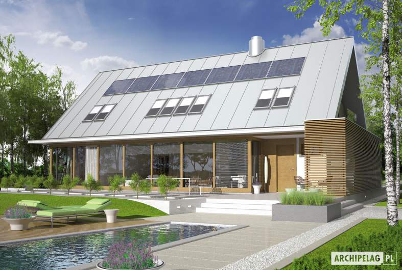 Projekt domu EX 3 G1 - wizualizacja ogrodowa