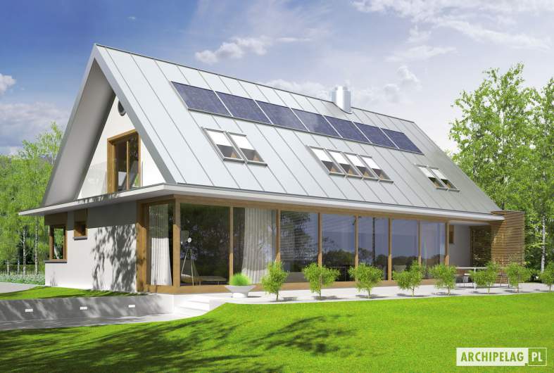 Projekt domu EX 3 G1 - wizualizacja ogrodowa