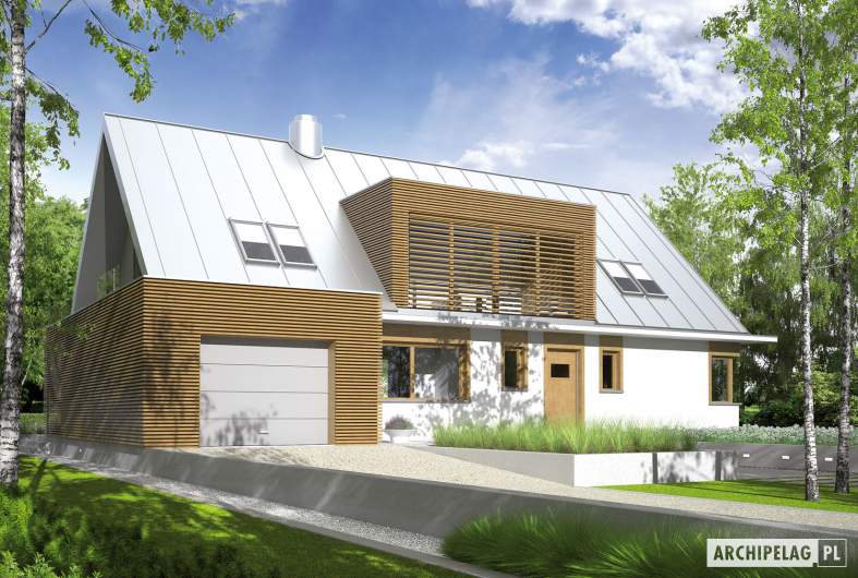 Projekt domu EX 3 G1 - wizualizacja frontowa