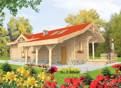 Projekt Aniela (z wiatą)