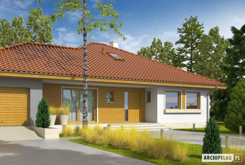 Projekt domu Flori III G1 - wizualizacja frontowa