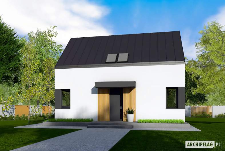 Projekt domu Mini 21 (wersja A) PLUS - Mini 21 (wersja A) PLUS - wizualizacja frontowa