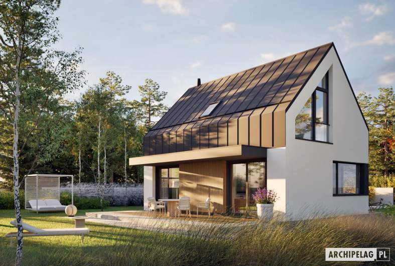 Projekt domu Mini 21 (wersja A) PLUS - Mini 21 (wersja A) PLUS - wizualizacja ogrodowa