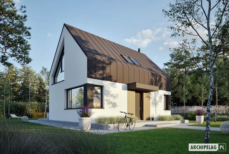 Projekt domu Mini 21 (wersja A) PLUS - Mini 21 (wersja A) PLUS - wizualizacja frontowa