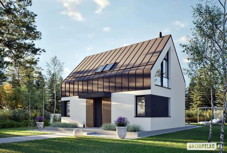 Projekt domu Mini 21 (wersja A) PLUS - Mini 21 (wersja A) PLUS - wizualizacja frontowa