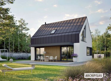 Projekt: Mini 21 (wersja A) PLUS