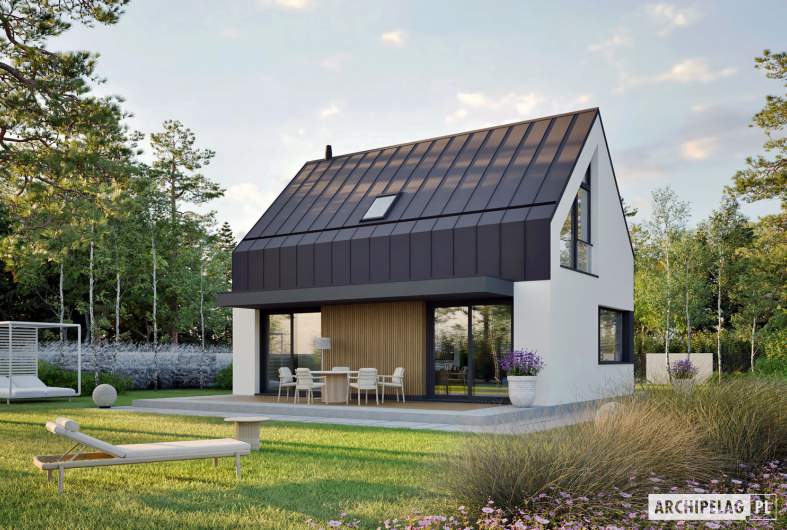 Projekt domu Mini 21 (wersja A) PLUS - Mini 21 (wersja A) PLUS - wizualizacja ogrodowa