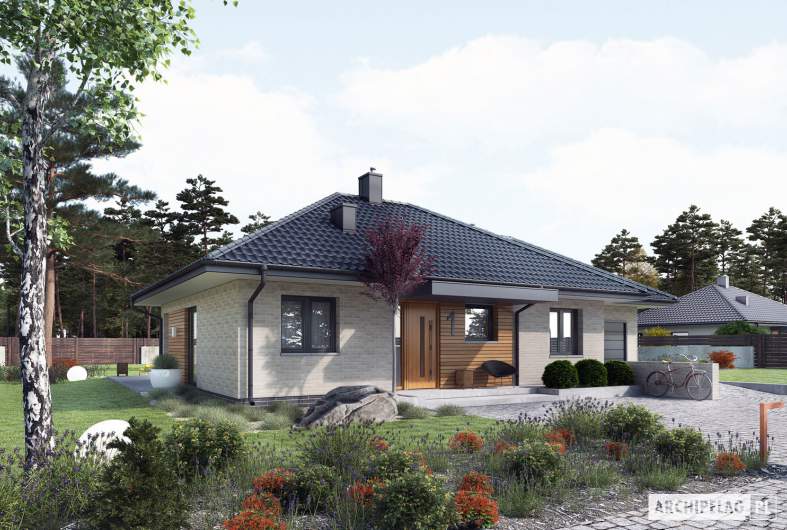 Projekt domu Mini 1 G1 (wiązary) - wizualizacja frontowa