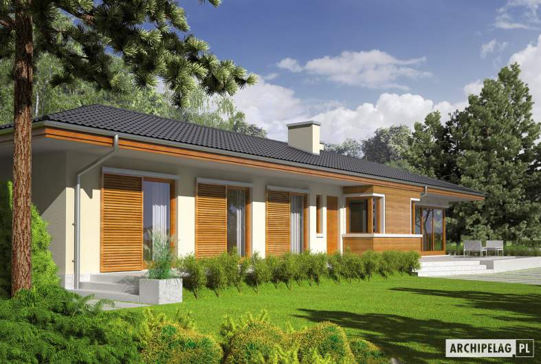Projekt domu Bil II (z wejściem od południa) - Projekty domów ARCHIPELAG - Bil II (z wejściem od południa) - wizualizacja ogrodowa