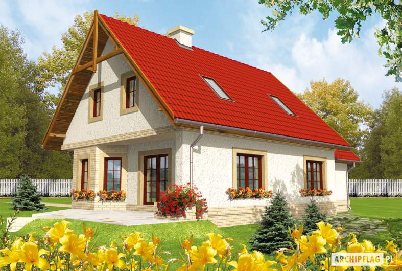 Projekt domu Igusia G1 - 