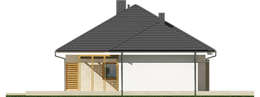 Flow III G1 - Projekt domu Flo III G1 - elewacja prawa