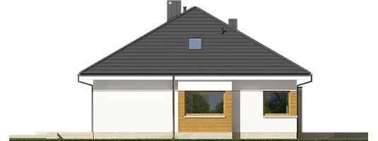 Flow III G1 - Projekt domu Flo III G1 - elewacja lewa