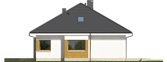 Flow III G1 - Projekt domu Flo III G1 - elewacja lewa