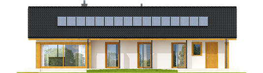 Eric II G1 - Projekt domu Eryk II G1 - elewacja tylna