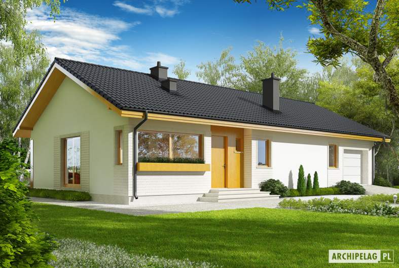 Projekt domu Eryk II G1 (30 stopni) - Projekty domów ARCHIPELAG - Eryk II G1 (30 stopni) - wizualizacja frontowa