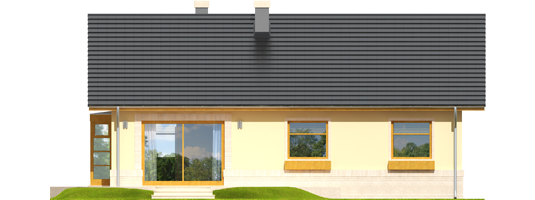 Erin - Projekty domów ARCHIPELAG - Erin - elewacja tylna