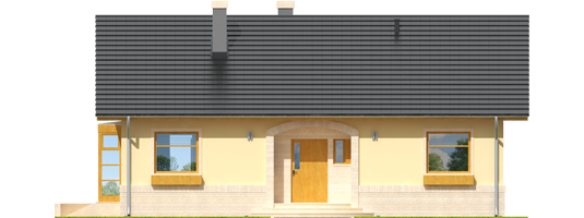 Erin - Projekty domów ARCHIPELAG - Erin - elewacja frontowa