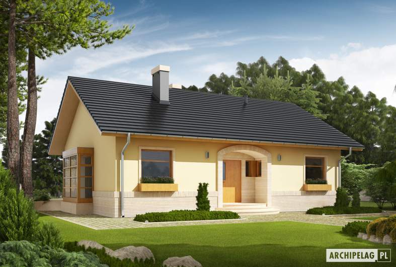 Projekt domu Erin - Projekty domów ARCHIPELAG - Erin - wizualizacja frontowa