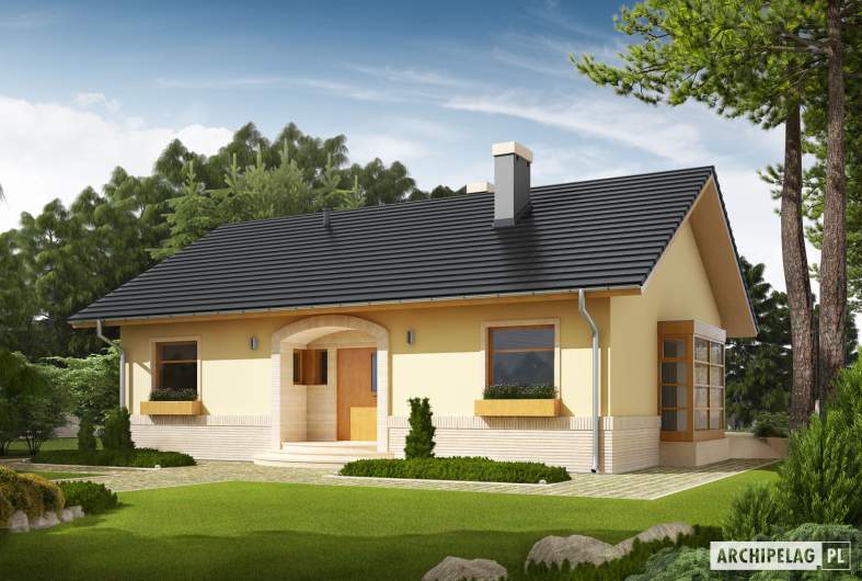Projekt domu Erin - Projekty domów ARCHIPELAG - Erin - wizualizacja frontowa