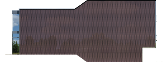 Shadow - Projekt domu Shadow - elewacja prawa