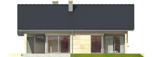 Tori G1 - Projekty domów ARCHIPELAG - Tori G1 - elewacja tylna