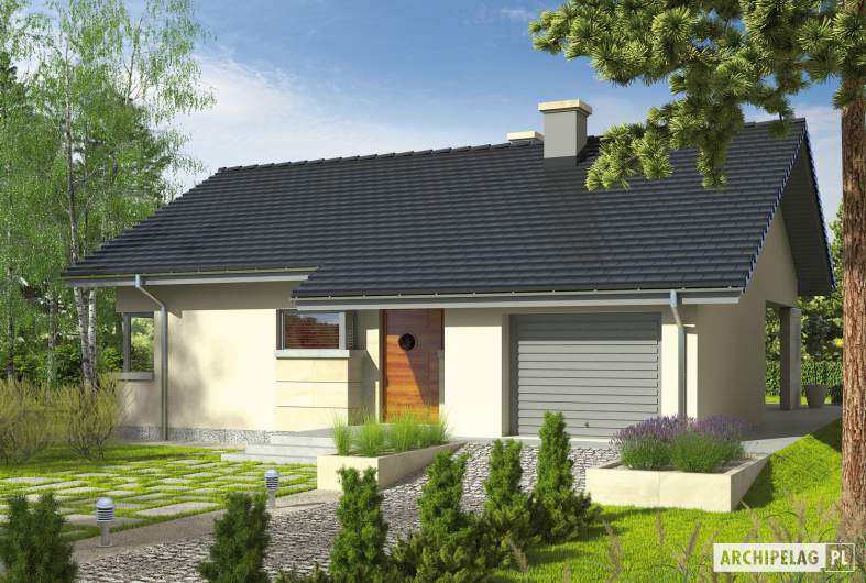 Projekt domu Tori G1 - Projekty domów ARCHIPELAG - Tori G1 - wizualizacja frontowa