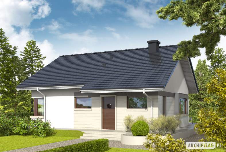 Projekt domu Tori III - wizualizacja frontowa