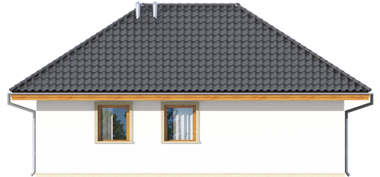 AA G20 - Projekt Garażu G20 - elewacja tylna