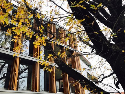 Marina nr 2 – STUDIO Artur Wójciak  